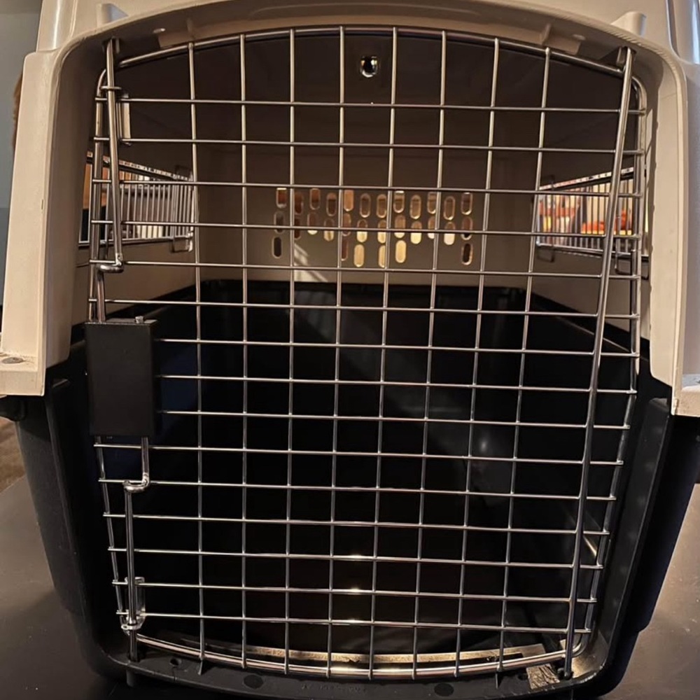 Petmate Black and White Pet Carrier